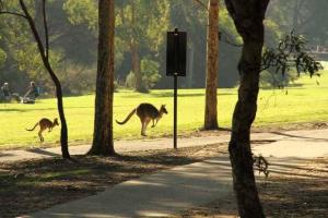 Fotografie z fotogalerie ubytování Super Luxury Self Contained Studio unit v destinaci Lysterfield