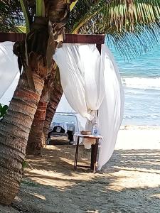 una mesa bajo un árbol en la playa en Peninsula Nuevo Vallarta, en Nuevo Vallarta 