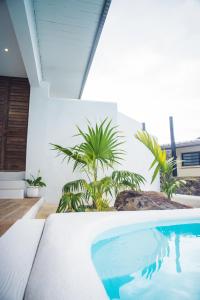 - une piscine dans une pièce ornée de plantes dans l'établissement Villa romantique, Rêve d'ailleurs, saint leu, la Réunion, à Saint-Leu