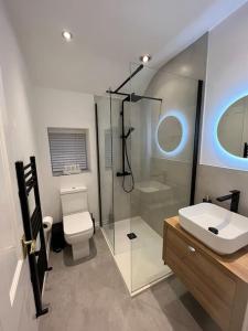 uma casa de banho com um WC, um lavatório e um chuveiro em Mount Cottage em Conwy