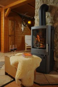 a fireplace in a living room with a couch at Seeland Lodge in Hilpoltstein