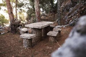 uma mesa de pedra e bancos na floresta em Camping TajoRodillo em Grazalema