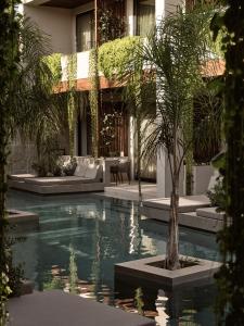 a swimming pool with a palm tree in front of a building at Contessina Hotel in Tsilivi