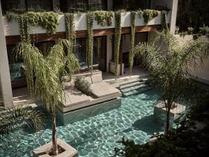 a swimming pool with palm trees in a building at Contessina Hotel in Tsilivi