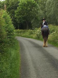 a person riding a horse down a road at 14th Century Medieval Longhouse 