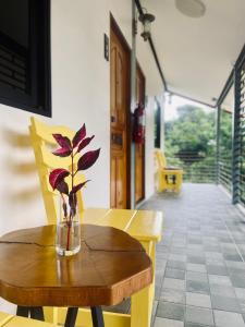 Fotografie z fotogalerie ubytování Hanoii House v destinaci Ko Mak