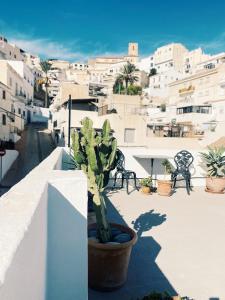 una planta en una olla en un balcón con edificios en Las Tres Hermanas, en Salobreña