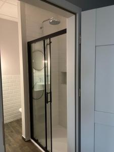 a shower with a glass door in a bathroom at Apartamenty Skierniewice Mireckiego in Skierniewice