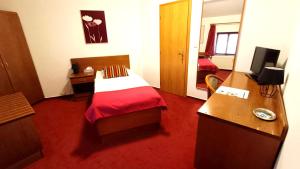 a hotel room with a bed with a red carpet at Hotel Baroko in Prague