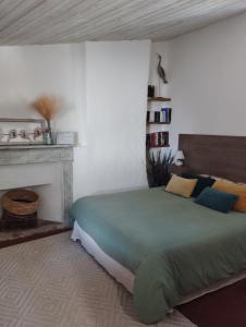 een slaapkamer met een groen bed en een open haard bij Chez les filles in Dions