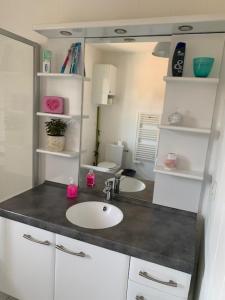 een badkamer met een wastafel en een spiegel bij CASABINA Appartement entre Disney et paris in Chelles