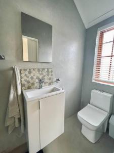 a bathroom with a toilet and a sink and a mirror at Living The Breede - Sanborg in Malgas