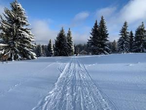 Apartmán Plešivec u sjezdovky en invierno