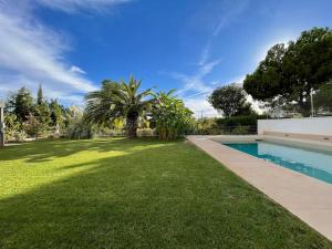 a yard with a swimming pool and a palm tree at Apartamento con jardín y piscina en Córdoba in Córdoba