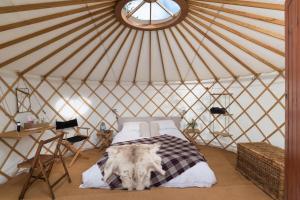 a room with a bed in a yurt at Festival Yurts Hay-on-Wye in Hay-on-Wye
