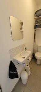 a bathroom with a sink and a toilet at Très bel appartement neuf in Péone