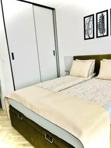 two beds in a bedroom with glass walls at ApartCentrum-CHARLOTTE -PARKING-Air conditioning in Bolesławiec