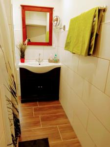 a bathroom with a sink and a mirror at Pension am Reethaus in Komptendorf