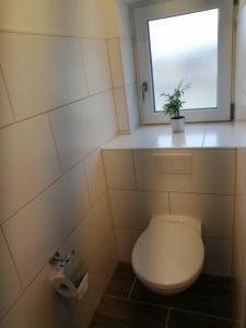 a bathroom with a toilet with a window and a plant at Pension am Reethaus in Komptendorf