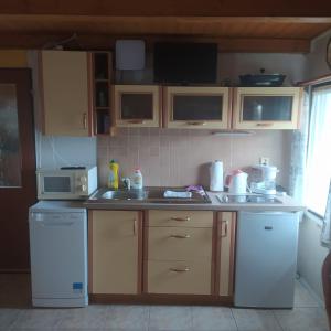 eine Küche mit einer Spüle und einer Mikrowelle in der Unterkunft Chata Dvorečná in Loučovice