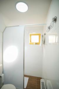 a bathroom with a shower and a toilet at Sunset Lux Cottage Ravna Planina Pale - Jahorina in Pale