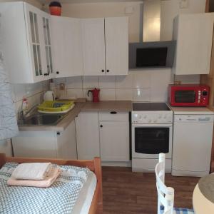 Fotografie z fotogalerie ubytování Apartmán Dvorečná v Loučovicích
