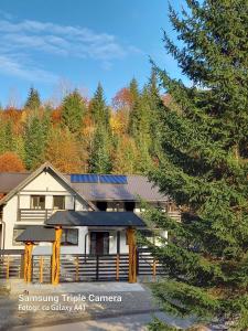 a house with a tree in front of it at Cabana Ioana in Voronet