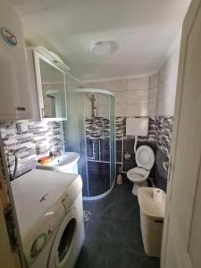 een badkamer met een douche, een toilet en een wastafel bij Vila MARA in Mokra Gora