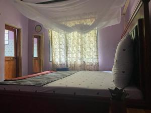 1 dormitorio con cama con dosel y ventana en Ava garden backpackers, en Mto wa Mbu