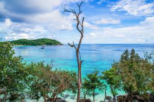 a view of a body of water with a tree at DAYA hill seaview in Ko Lipe