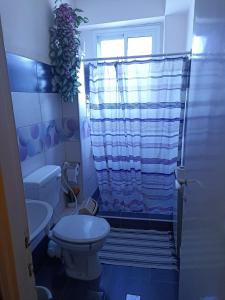 a bathroom with a toilet and a shower at Issa's House in Beit Sahour