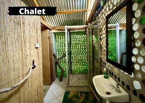 a bathroom with a shower with a sink and a mirror at Eselbe Camp Backpackers in Nata