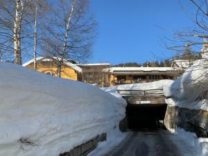 Des Alpes C Flat 11 v zime