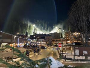 Des Alpes C Flat 11 v zime