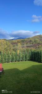 克利默內甚蒂的住宿－View Cozia，绿地,有长凳和树木