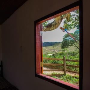 a window with a view of a tree and a fence at Chalé RURAL São Thomé das Letras Sobradinho até 3 pessoas in São Thomé das Letras