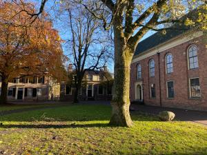 een boom voor een bakstenen gebouw bij B&B Stoet & Berre Geheel privé 1 - 4 pers in Assen