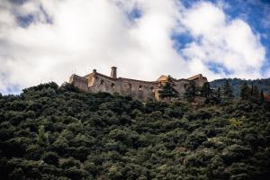 a castle on top of a hill with trees at Sundrenched Relais de Poste in Serdinya in Serdinya