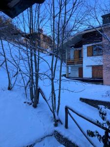 einen schneebedeckten Hof mit Bäumen und einem Haus in der Unterkunft CASA ILARIA in Faidello