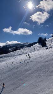 een groep mensen die skiën op een besneeuwde helling bij CASA ILARIA in Faidello