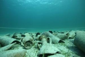 a group of seals laying on the beach at Rocca Ruja Vip in Stintino