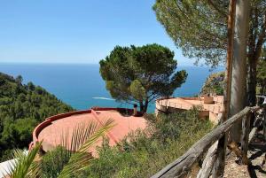 een huis op een heuvel met een boom en de oceaan bij La Sirenetta tra mare e collina in Sperlonga
