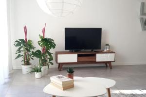 uma sala de estar com uma televisão de ecrã plano e plantas em casa MEV è un attico in centro a Fiume Veneto em Fiume Vêneto