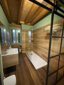 a bathroom with a glass shower and a sink at Villa Vitturi in Maserada sul Piave