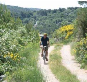 Hosté ubytování Luxury apartments SKALINADA near beaches, Tisno - Dalmatia