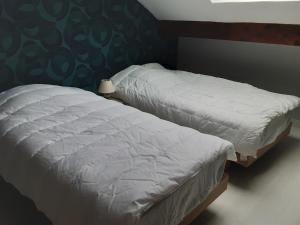 twee bedden naast elkaar in een slaapkamer bij Appartement du parc in Xonrupt-Longemer