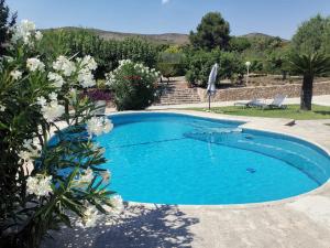 a swimming pool in a garden with flowers at Atidos Adults only in Ontinyent
