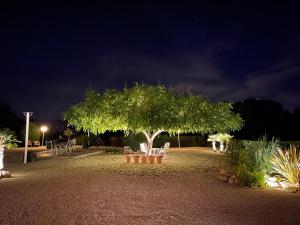 Fotografie z fotogalerie ubytování Atidos Adults only v destinaci Ontinyent
