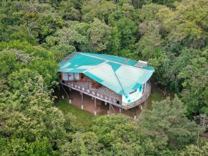 a house with a blue roof in the middle of a forest at Moon Wonders Vacation House in Monteverde Costa Rica