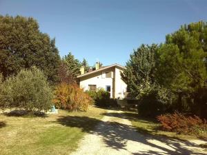 a house in the middle of a yard with trees at B&B Il Nido Di Alice in Moresco